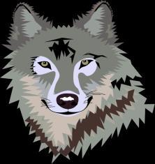 WOLVES NEWSLETTER January 2018 WOLF NEWS Liberty Pines Academy Message from Mrs.