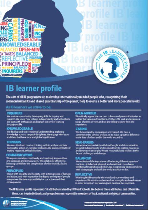 What Does it Mean to be an IB School? Kari Olsen, Director of Student Services IB is short for International Baccalaureate. Of the 26 high schools in Fairfax County Public Schools (FCPS), 8 are IB.