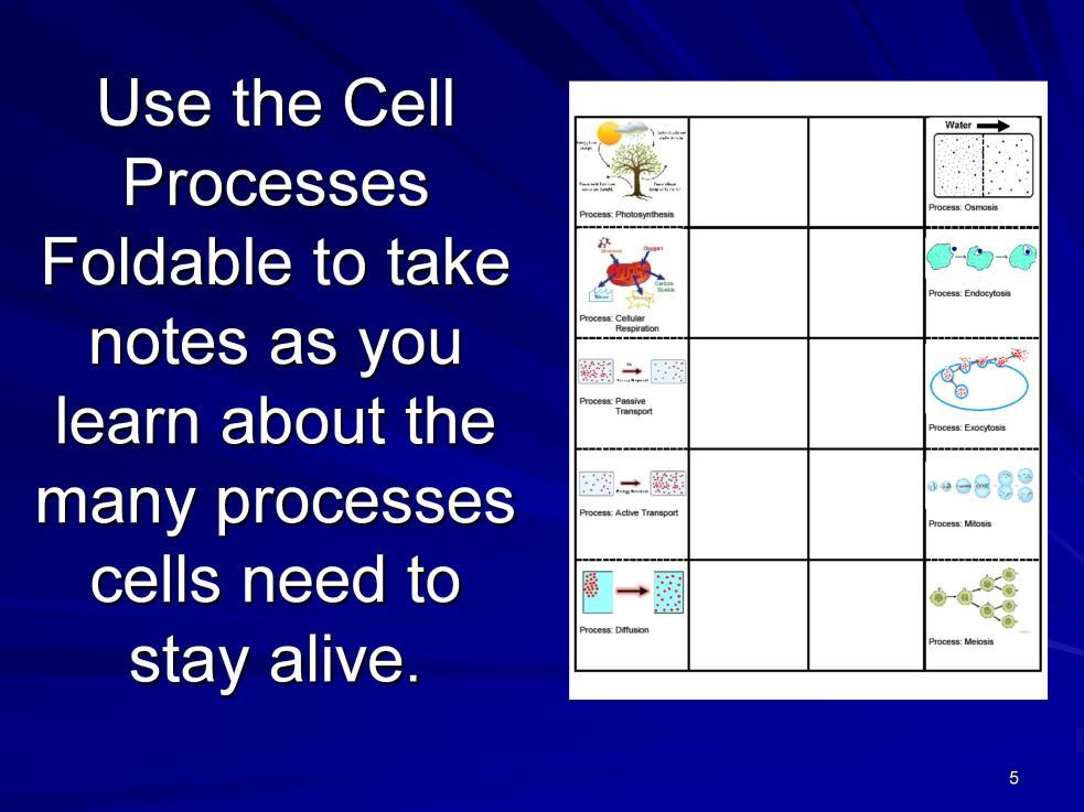 Instructional Approach(s): Give each student a Cell Processes Foldable to use during the lesson to record important information.