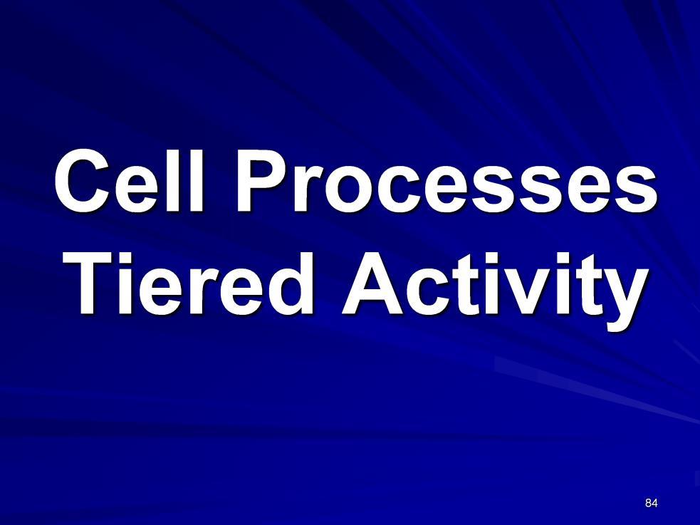 Instructional Approach(s): The teacher should use the Cell Processes Summarizer to place students