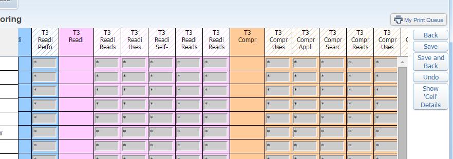 One confusing aspect is that there are headings that cannot accept grades. Grades can only be entered into the cells tied to tasks. These generally have a heading with a white background.