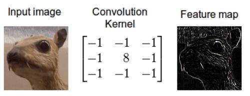 com/2015/03/26/convolutiondeep-learning/ Common Across All Applications Convolutional Neural Networks https://www.researchgate.
