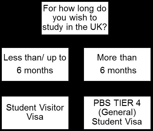 Visa information In recent years the UK government has made major changes to its immigration rules and visa systems for international students.