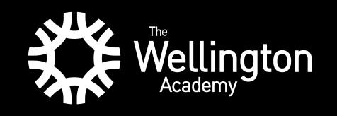 The Wellington Academy Special Educational Need and Disability Statement 1.