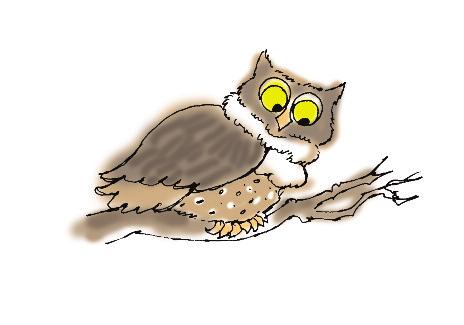 When you OWL, you give your chid a chance to start an interaction and open up opportunities for communication. You may even discover that your chid is communicating more than you reaized.