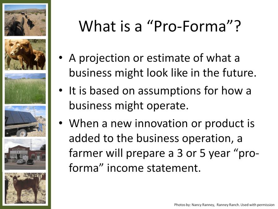 A pro-form statement is a business owner s best guess of what the business will look like over the next three to five years based on actions taken in the present.