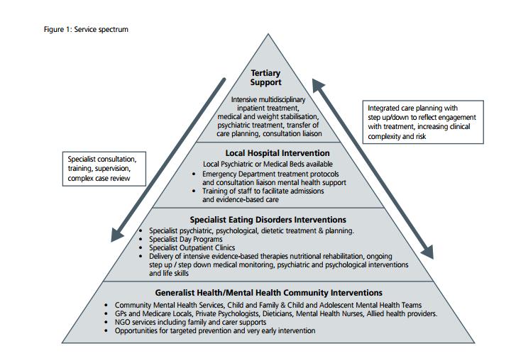 3.1 Brief Overview of the Service Spectrum for Eating Disorders A Range of Services for Eating Disorders The service spectrum triangle, as presented in the Service Plan, can be used as a guideline to