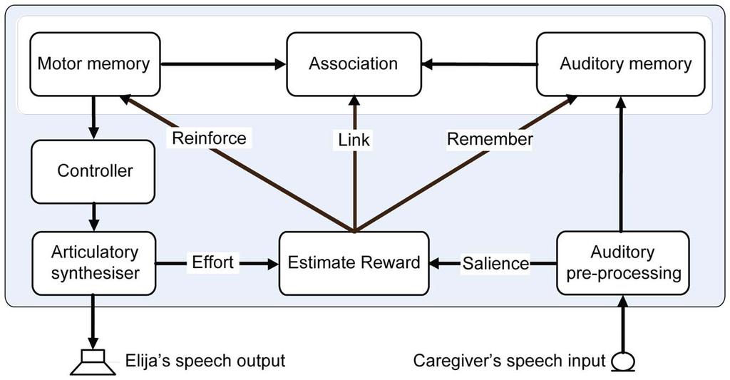 Figure 6. Formation of associations between motor and auditory memories. Elija generates an acoustic output by using a previously discovered motor pattern.