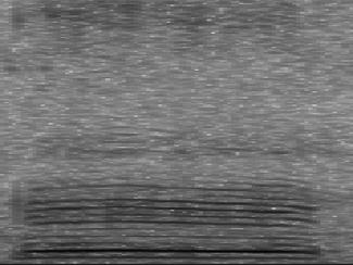 63 500 Spectrogram 3000 Spectrogram Frequency 400 300 200 100 Frequency 2000