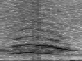 5 0 1 0.5 0 20 40 60 80 Time (Frames) PLP Spectrogram 0 0 0.2 0.4 0.6 0.