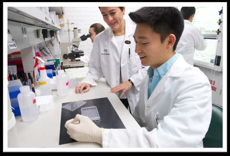 Sangwoo Han Junior Human Physiology & Biology Honors Designation Projects in Human Physiology, Honors Courses,
