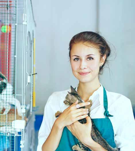 of animal and pet care ACM30410