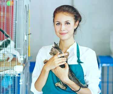 ACM30410 Certificate III in Companion Animal Services Order of Studies and Units Once you are enrolled in this course, you will receive access to the first modules, which contains the first set of