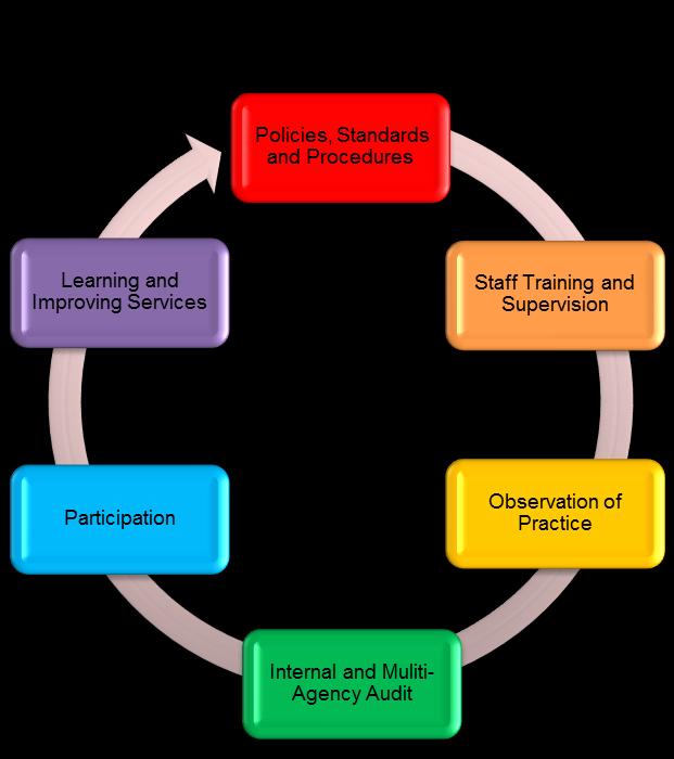 2 The Quality Improvement Framework Quality Improvement Framework is a continuous process which allows us to learn and shapes our practice Continuous consultation, review,