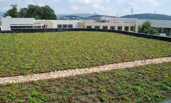 Green Roofs Green Roofs, also known as vegetated roofs, are alternative roof surfaces that typically consist of waterproofing and drainage materials and an engineering growing media that is designed