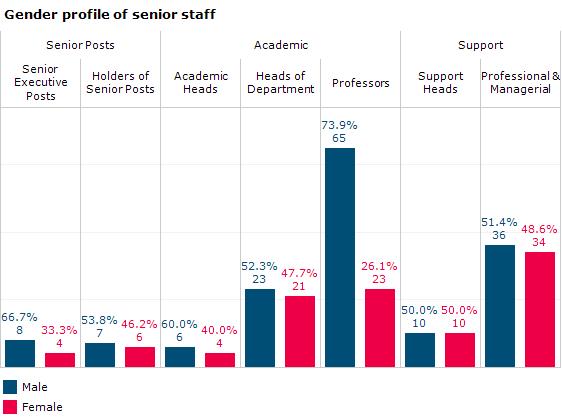 Areas with women in a large majority were Student Support Services (PVC Student Affairs) (78.6%), Human Resources (75.8%), the combined areas of Academic Registry / PVC Academic / PVC Research (69.