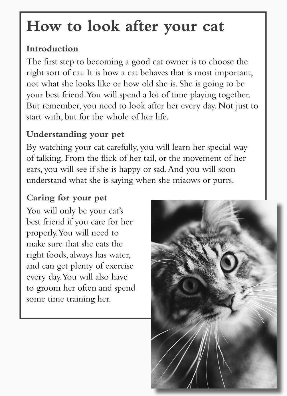 Read How to look after your cat and answer questions 7 to 11 This