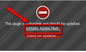 Activating Adobe Flash If you see this screen Click on 'Activate Adobe Flash' the e-learning will then start to play What is Online Learning?