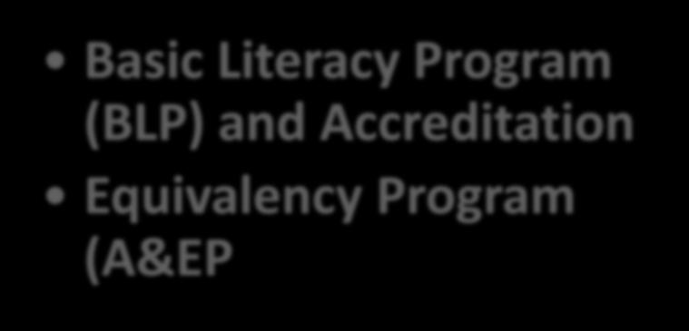 non formal Basic Literacy Program (BLP) and