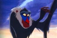 Question: What is the name of the person in tribal cultures who performs the same role that Rafiki plays in this movie?