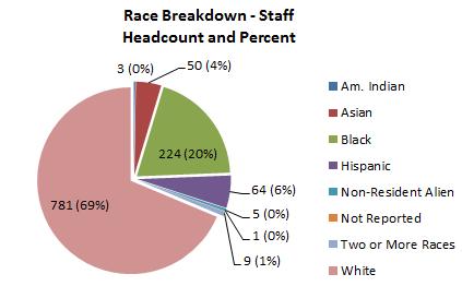 Chart B: Race Breakdown - Staff Survey Development A Campus Climate Survey Task Force was convened of various stakeholders in the institution.