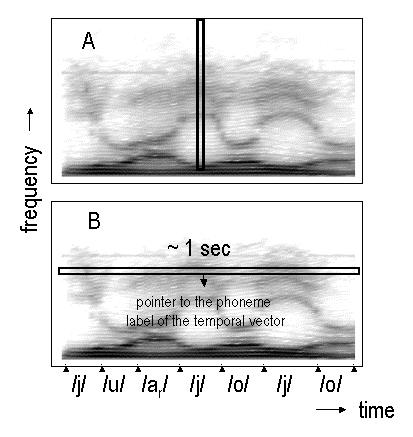 certain range of modulation frequencies, that are desirable for the classification of speech. Fig. 1 Two possible ways of forming labelled vectors for LDAT analysis of short-term spectra.