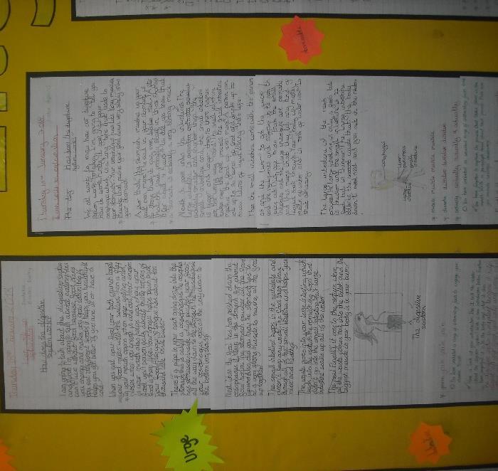 Using scientific vocabulary, we have produced some detailed explanation texts explaining how the human digestive system works.