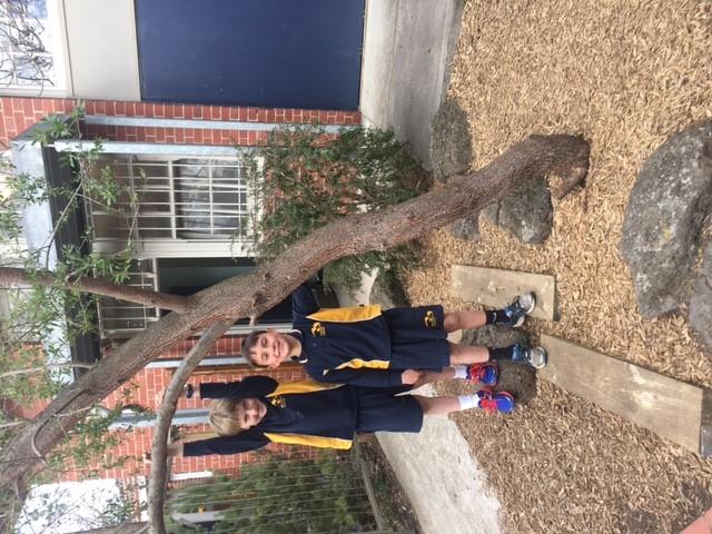 BPS Garden Club Update Thank you to our student helpers this week for completing the planting for the