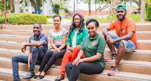 Florida Agricultural and Mechanical University conducted a broad and participative strategic planning process, resulting in the plan entitled, FAMU Rising (FAMU Strategic Plan, 2017-2022.