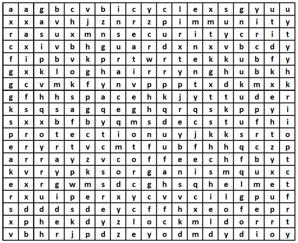 STUDY 1 Words Grid Please complete a word search task to clear your mind in preparation for the experiment.