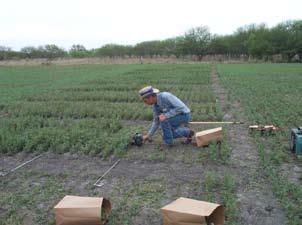A county Extension agent hand-clips forage for a result Harvested forage from a result Grain is harvested and weighed at a result Several factors affect an individual learner s decision on whether to