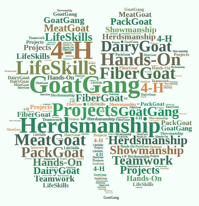 Genesee County 4-H Goat Program Project Record
