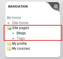 Site pages As shown in the Figure, the Site pages folder