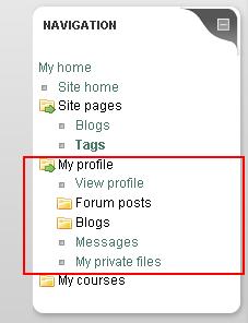 Tags If you click the Tags link, you will see the following page: Figure 11: Search tags page My profile The My profile folder contains
