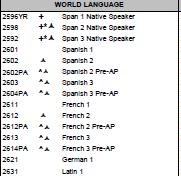 Options to meet other Required Coursework 2 years of the same Foreign Language *Spanish *French *German *Latin 1 year of Fine
