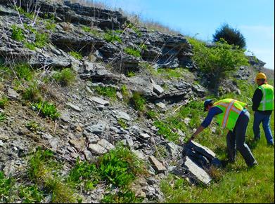 Ancient rocks with hundred-million-old fossils abound in central Kentucky, once the site of a shallow tropical sea, provide geologists with a look at an ancient seafloor that existed millions of