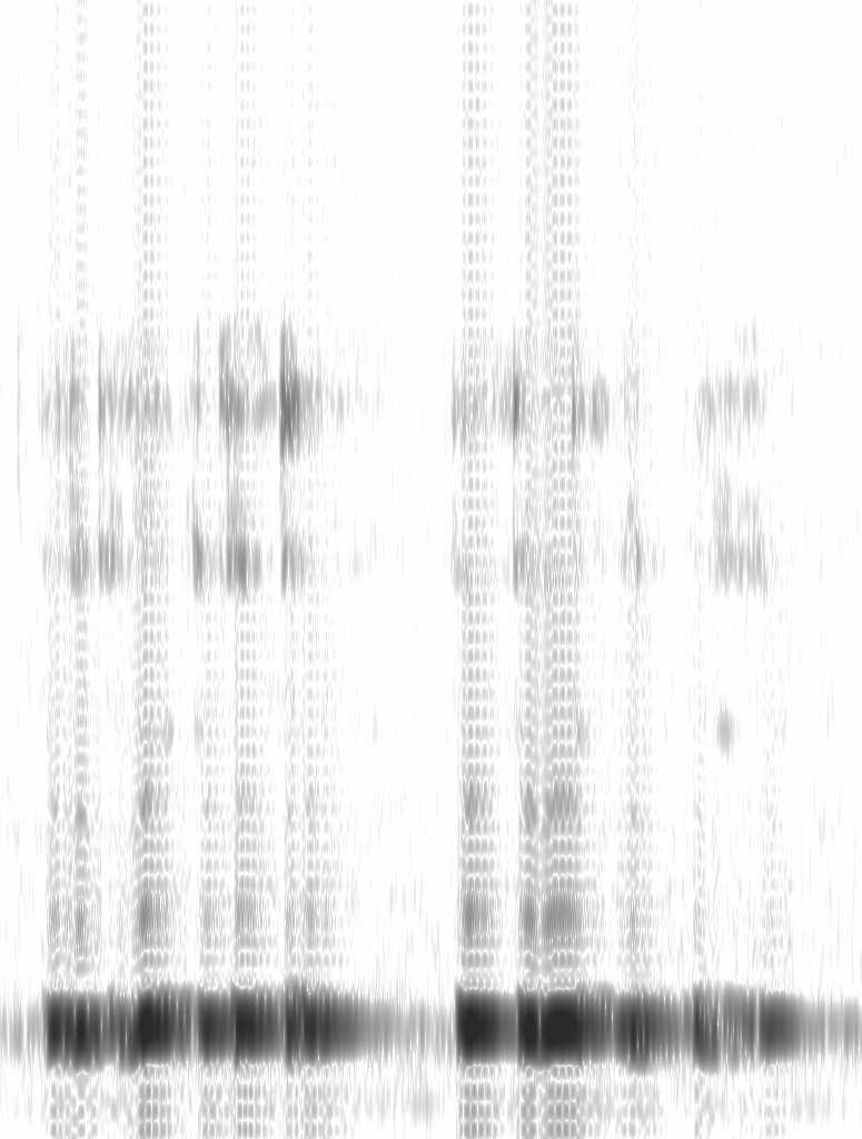 8: (a) Speech signal, (b) spectrogram of the speech signal, (c) speech signal played back once, (d) spectrogram of the