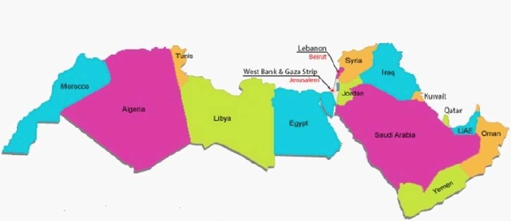 MENA Region Facts General information Offical Name: Middle East and North Africa Number of countries: 25 Language: Mainly Arabic, Iranian Governmenet Type: Monarchy mostly, very few
