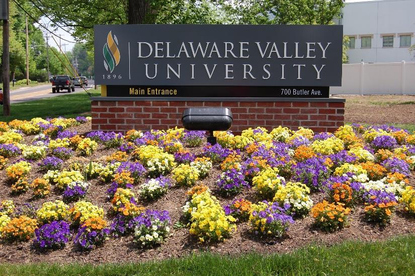 com The Opportunity: Delaware Valley University (DelVal) is an independent, nonprofit university located in Doylestown, PA.