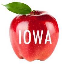 Iowa School Wellness in Action Impacted 37,923 Students 29 out