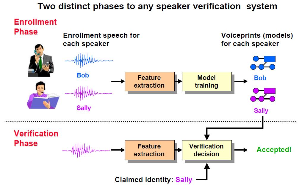Phases of speaker verification