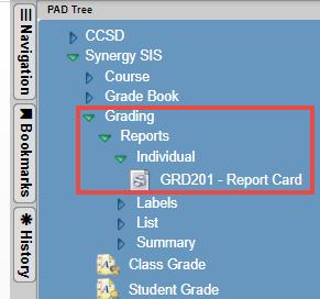 Processing Report Cards (A PDF file AND Electronic Report Cards can be completed at same time.