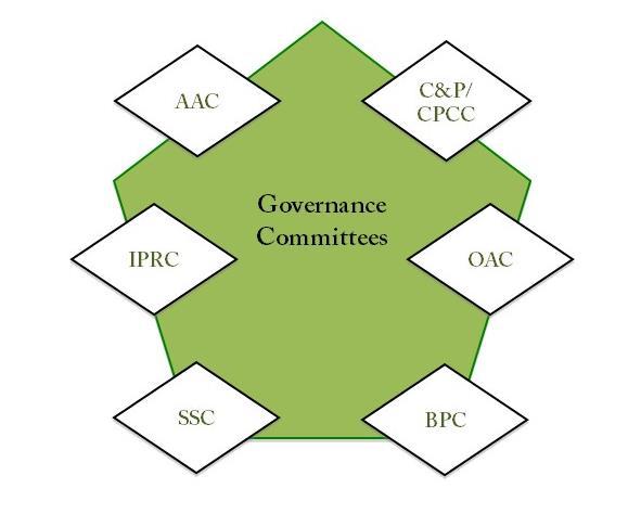 Governance Committees Six governance committees address their respective, routed governance issues and forward their recommendation to the identified council(s).