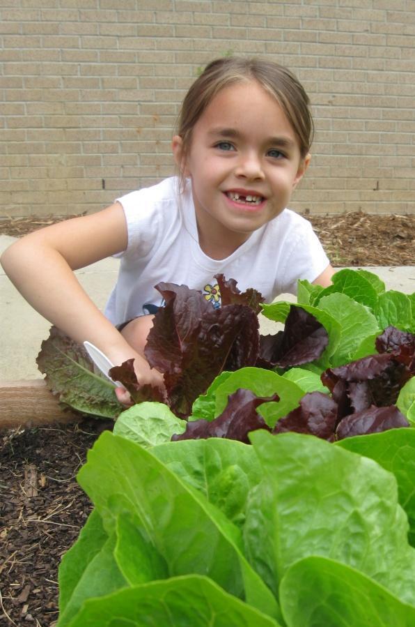 School Gardens Connections to math, science, language arts, social studies: Measurement, calculating area and volume.
