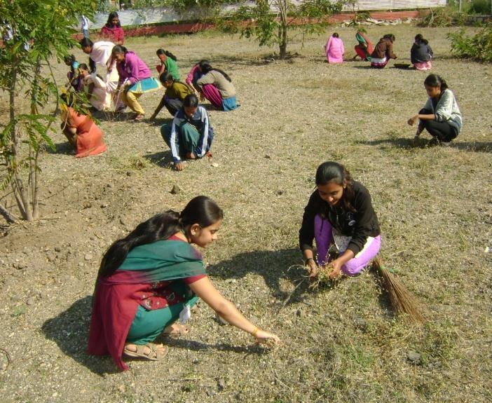 Village cleanliness Trees Plantation Programme: Trees