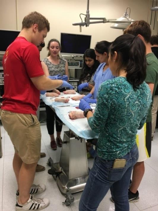 The events are now held in the WUSM Institute for Surgical Education (WISE), a medical simulation laboratory, in order to give students a glimpse into resident surgical skills training and medical