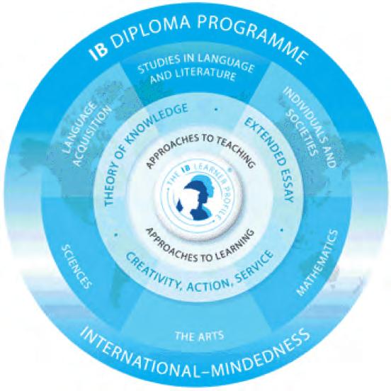 International Baccalaureate Diploma Programme Curriculum Framework As illustrated below, the IB Diploma Programme curriculum framework consists of courses in six groups, which are offered either as