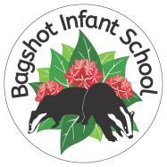 Bagshot Infant School Special Educational Needs and Disability Policy Vision At Bagshot Infant School we aspire to educate, care for and develop all our children to the highest standards, and to