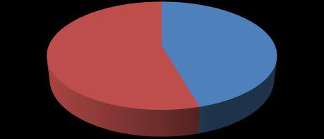 49% 51% 54% 46% Girls Boys Girls Boys