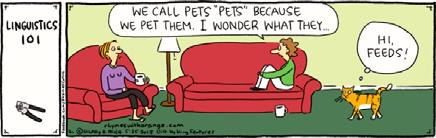 Pets! Syntax Syntax is the study of sentence stcture in human language. What do we know when we know the syntax of our language? 8 We know: What is grammatical and what is ungrammatical.